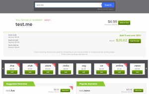 domain registrant lookup